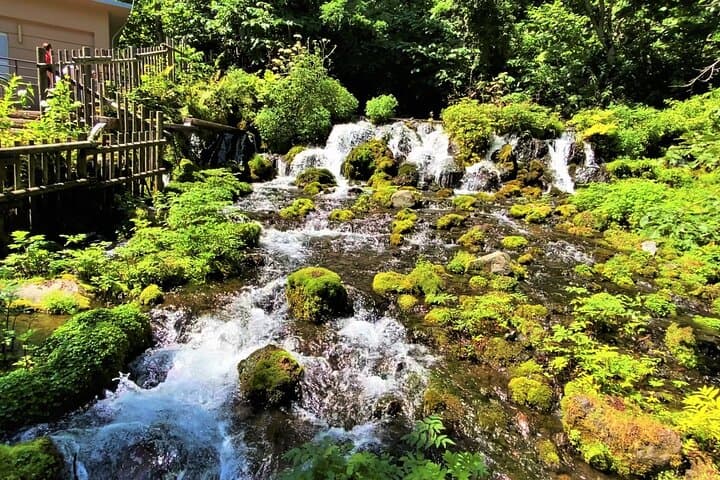 Otaru, Hokkaido Fuji Cherry Blossom Bus Tour │ Sapporo 1Day — photo 5
