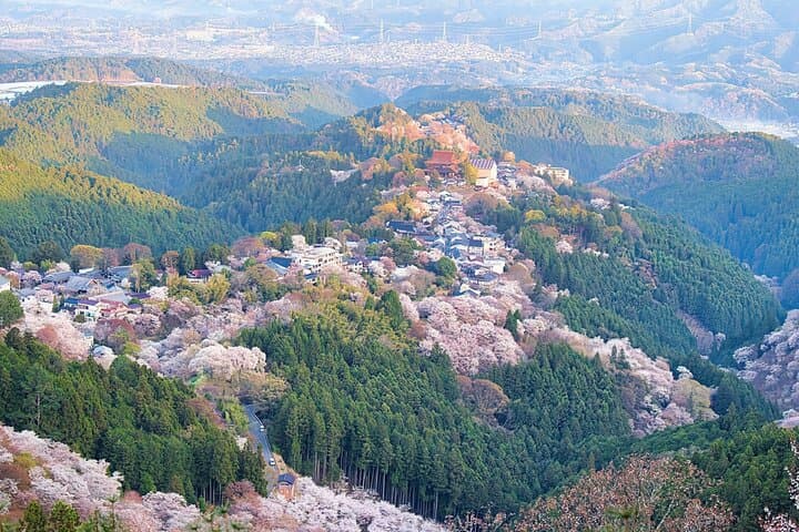 Historic and Natural Guided Hike in Yoshino — photo 20