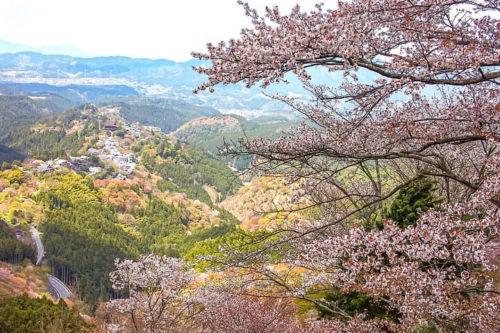 Historic and Natural Guided Hike in Yoshino — photo 14