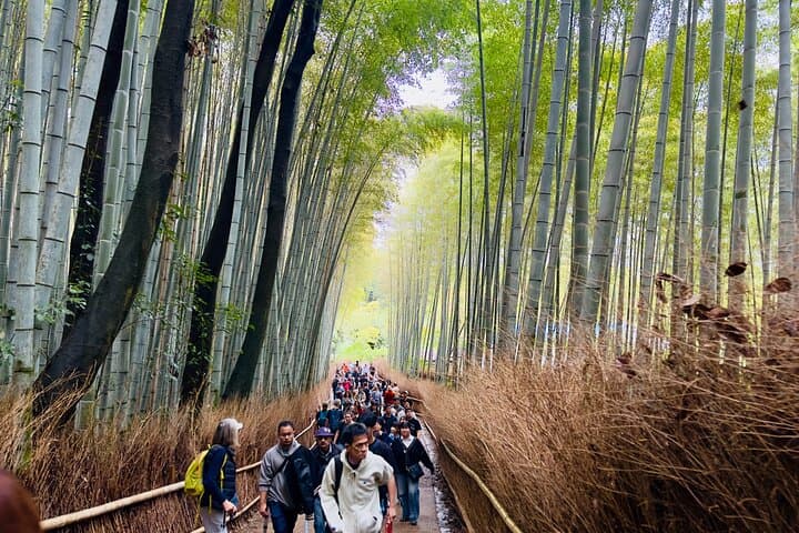 Private Day in Kyoto Customized Travel Experience in English — photo 10