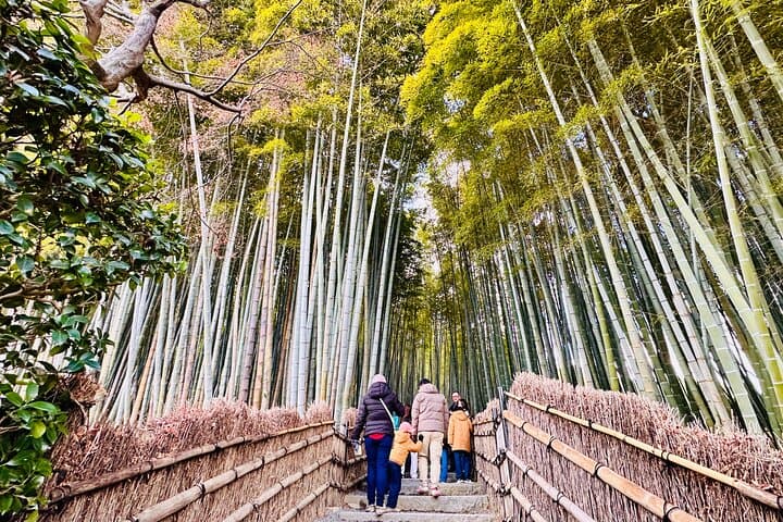 Private Day in Kyoto Customized Travel Experience in English — photo 11