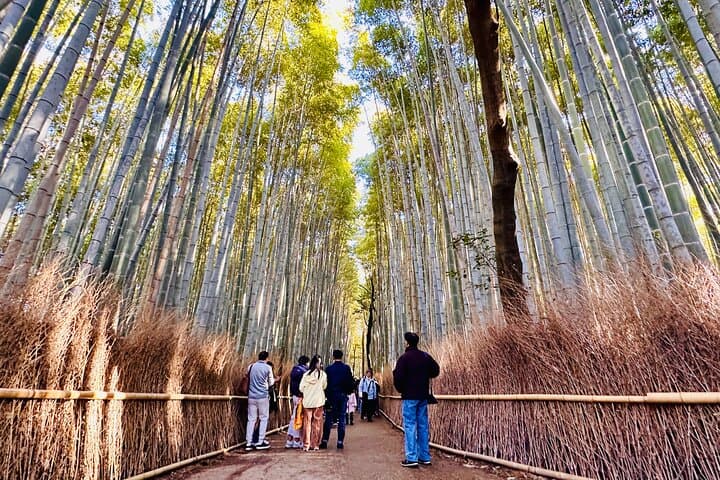 Private Day in Kyoto Customized Travel Experience in English — photo 13