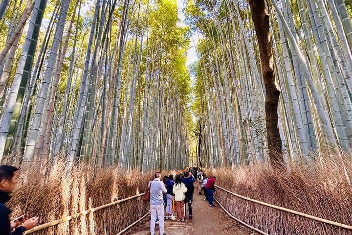 Private Day in Kyoto Customized Travel Experience in English — photo 3