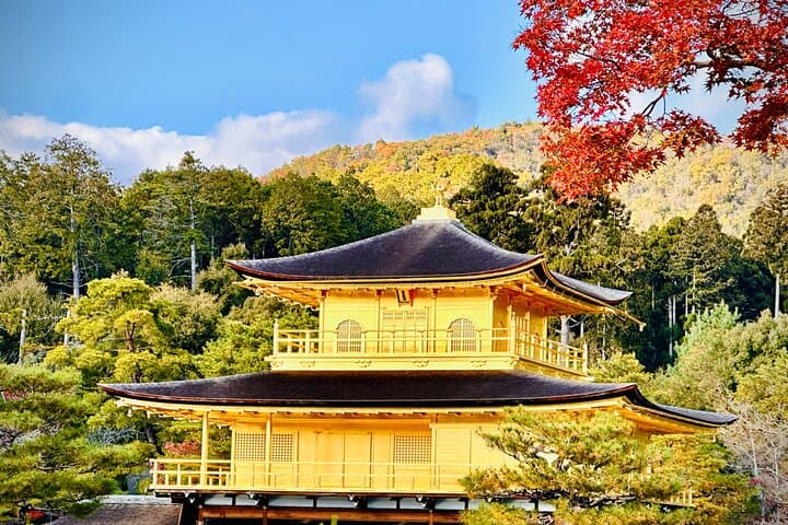 Private Day in Kyoto Customized Travel Experience in English — photo 8