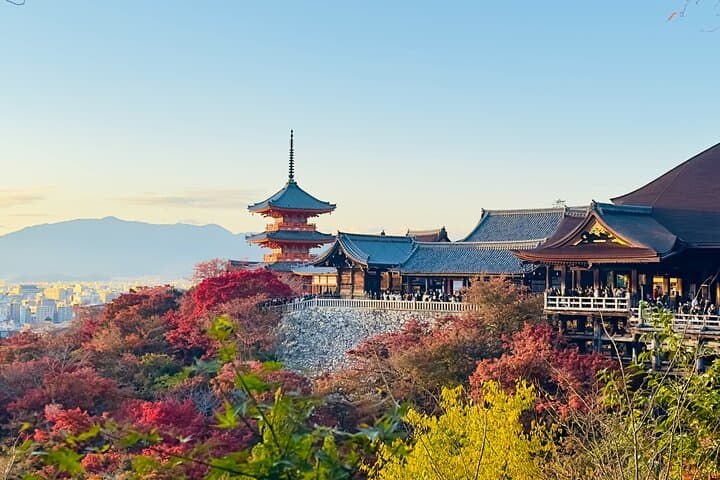 Private Day in Kyoto Customized Travel Experience in English — photo 4