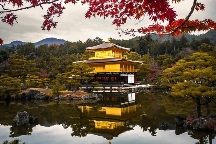 Private Day in Kyoto Customized Travel Experience in English — photo 1