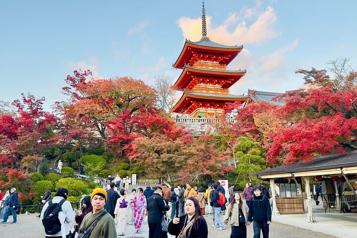 Private Day in Kyoto Customized Travel Experience in English — photo 20