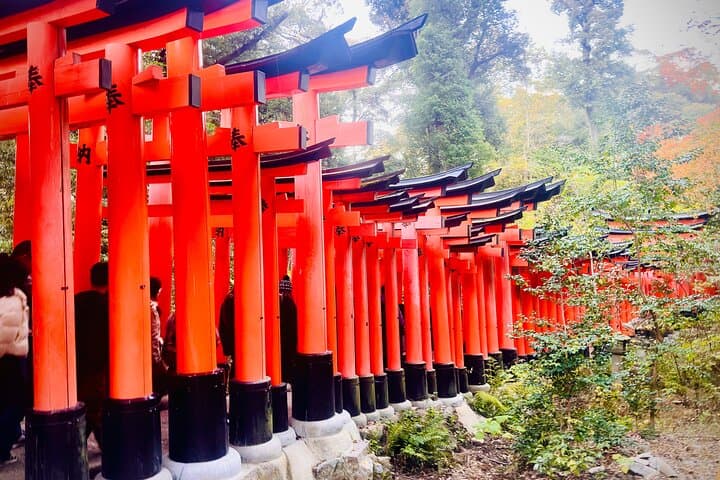 Private Day in Kyoto Customized Travel Experience in English — photo 16