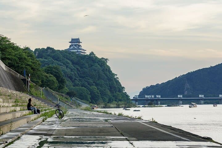 From Nagoya: Inuyama Castle and Tea Half-Day Tour (small group) — photo 8