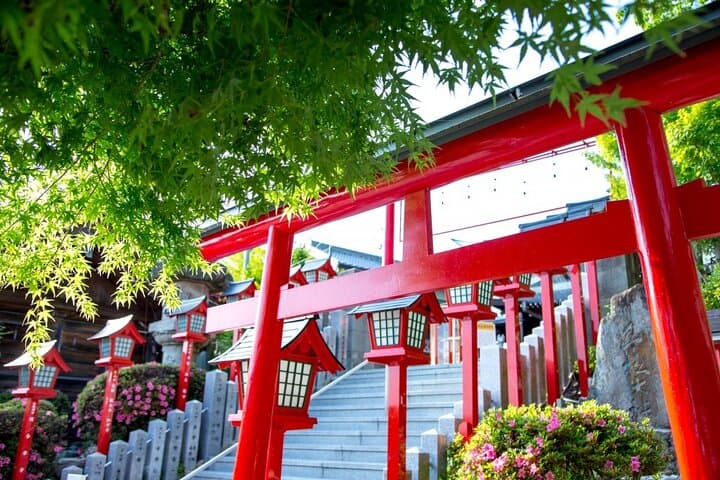 From Nagoya: Inuyama Castle and Tea Half-Day Tour (small group) — photo 11
