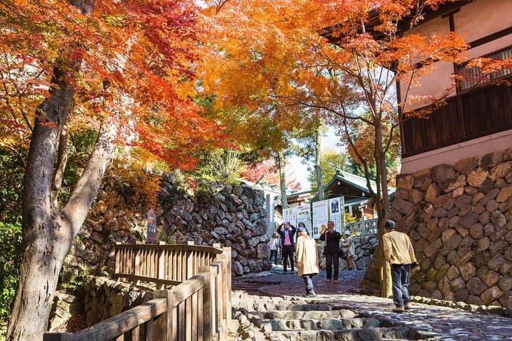 From Nagoya: Inuyama Castle and Tea Half-Day Tour (small group) — photo 12