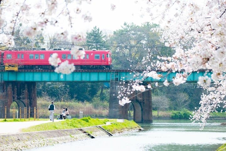 From Nagoya: Inuyama Castle and Tea Half-Day Tour (small group) — photo 13