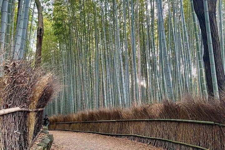 Experience Kyoto Katsura River boat Adventure in Arashiyama — photo 4
