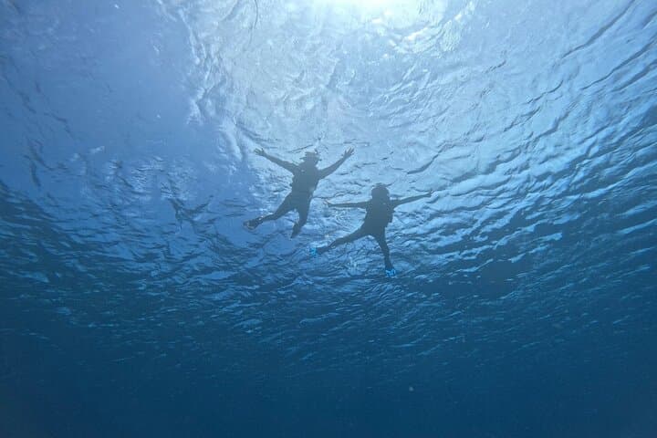 Sea Turtle Snorkeling 3-Hour Tour — photo 3