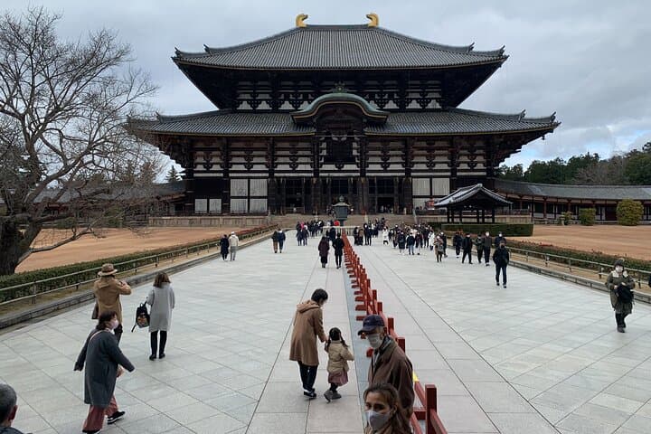 Nara Deer, Great Buddha & Traditional Mochi Experience — photo 2