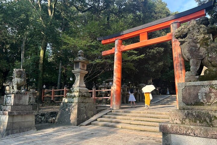 Nara Deer, Great Buddha & Traditional Mochi Experience — photo 8