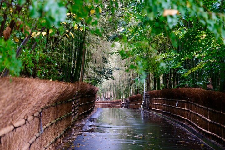 Sacred Waters and Serenity 4 Days Charter Car Tour from Kyoto — photo 4