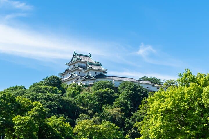 Wakayama Castle Samurai Photo Experience (Small Group, 90 Min) — photo 6