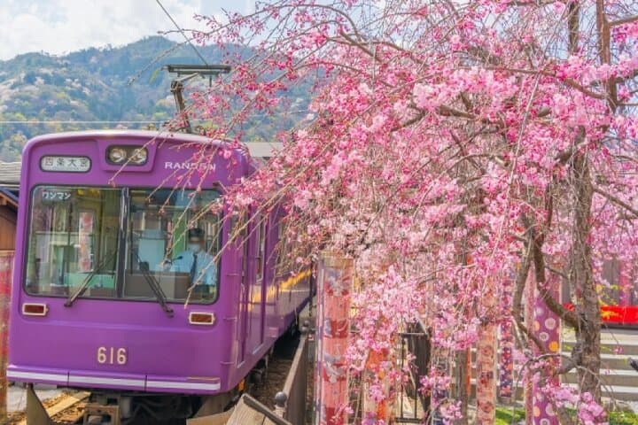 Kyoto Arashiyama, Nara Park, and Fushimi Shrine Tour — photo 15