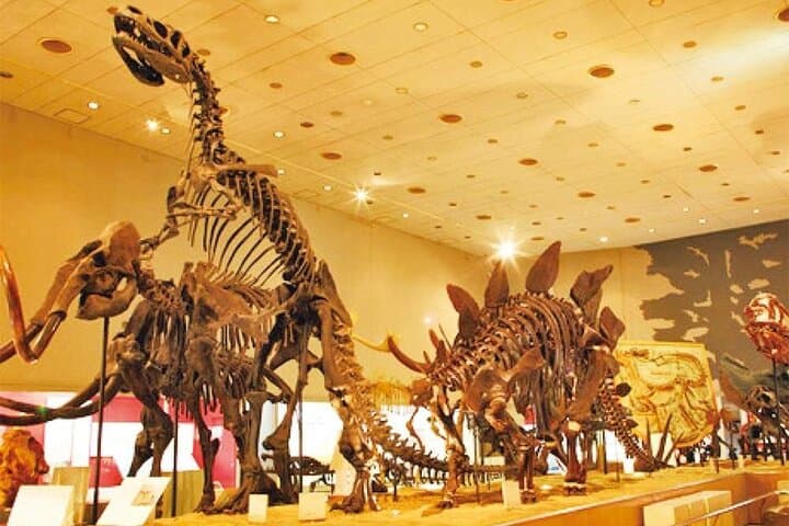 Osaka Tourist Attractions Pass 30+ Tourist Sites — photo 7