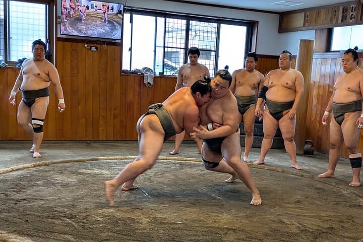 Tokyo Exciting Sumo pracice viewing and Modern Samurai Show tour — photo 1