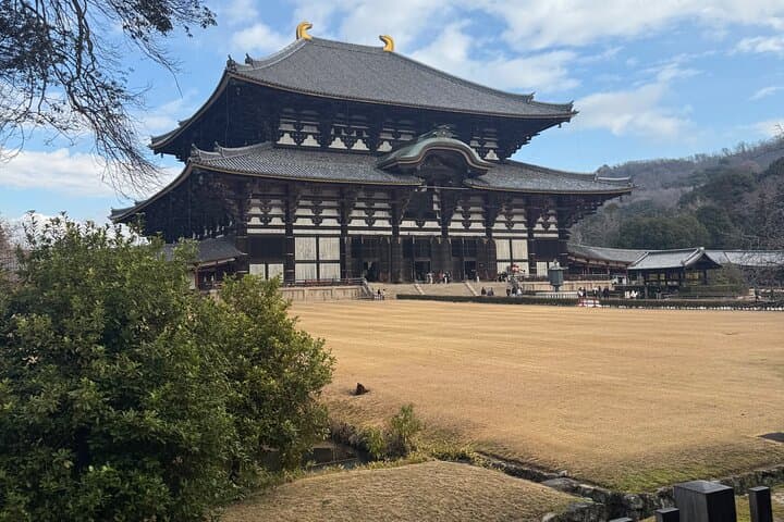 Kyoto&Nara Day Tour | English Guide & Private Vehicle — photo 16
