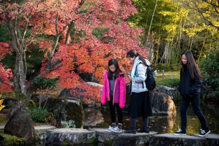 Engyoji and Himejis Temples Hidden History Gems with Guide — photo 4