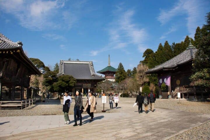 Engyoji and Himejis Temples Hidden History Gems with Guide — photo 10