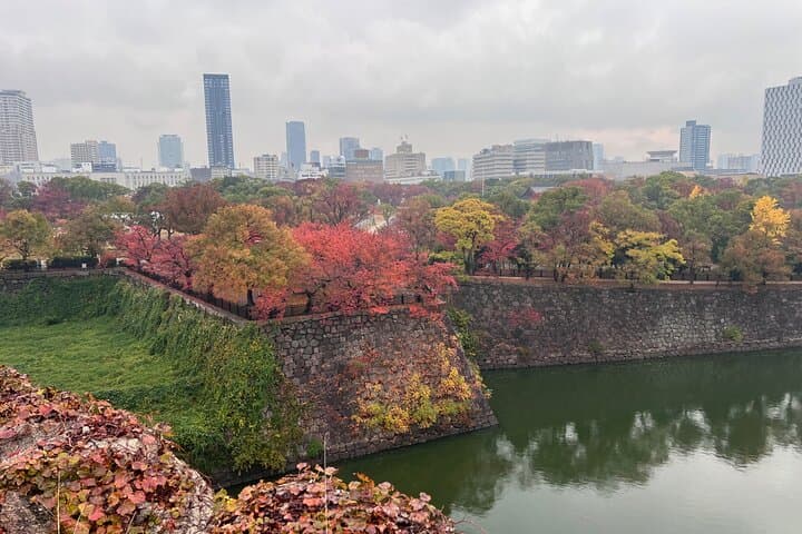 Osaka Day Tour: Secret Spots & Local Treasures — photo 9