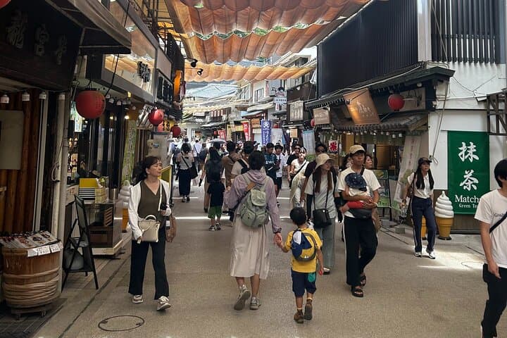 Hiroshima and Miyajima 6 and half Hour Guided Tour — photo 5