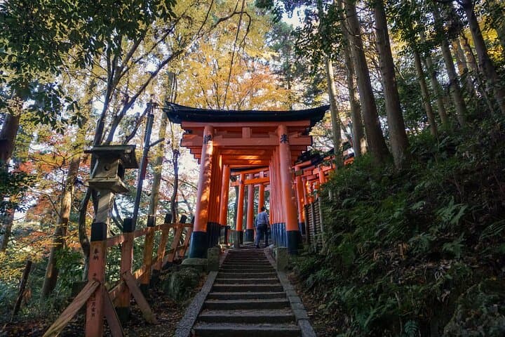 Kyoto: Fushimi Inari Hidden Hike (Private) — photo 5