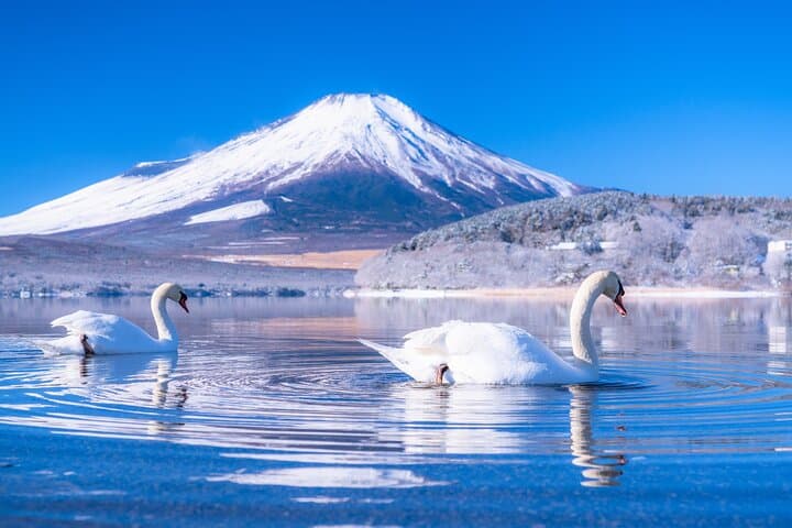 One Day Hakone and Mount Fuji Area Tour from Tokyo — photo 6