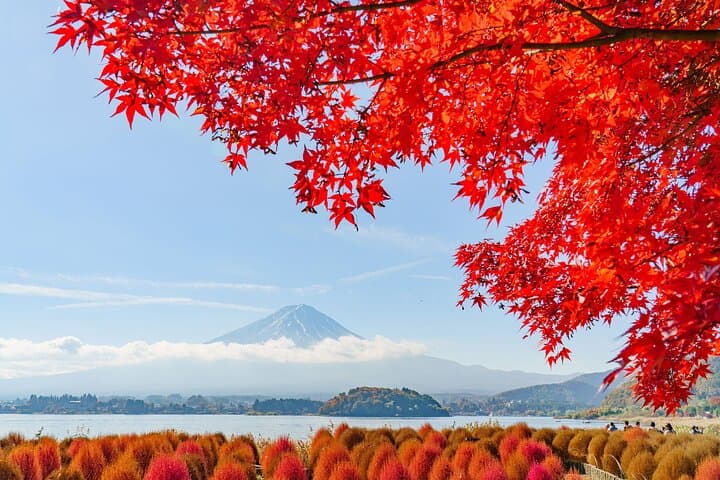 One Day Hakone and Mount Fuji Area Tour from Tokyo — photo 3