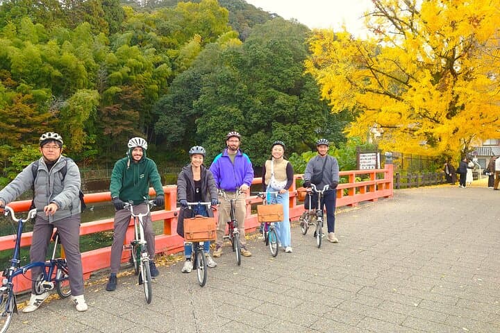 Slow Cycling Tour at Uji's Matcha Green Tea Fields and Heritage — photo 5