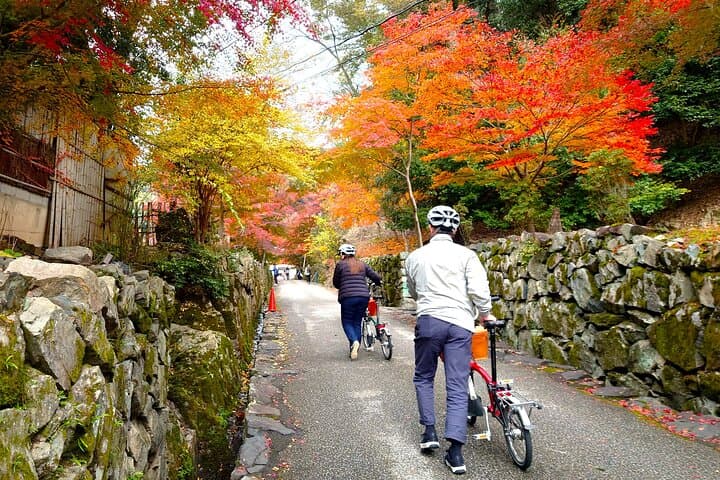 Slow Cycling Tour at Uji's Matcha Green Tea Fields and Heritage — photo 11