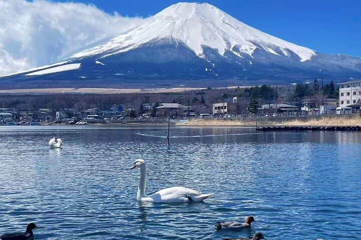 From Tokyo : Mount Fuji Private Tour With English Guide — photo 1