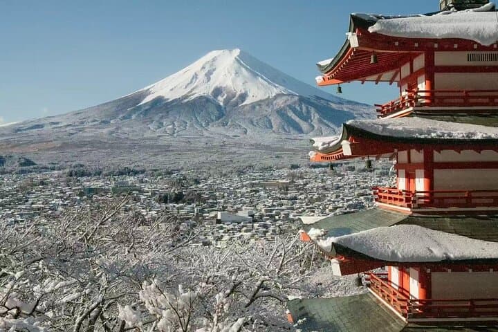 From Tokyo : Mount Fuji Private Tour With English Guide — photo 3