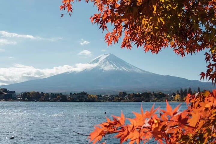 From Tokyo : Mount Fuji Private Tour With English Guide — photo 4