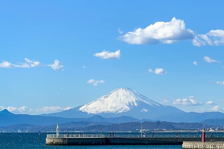 From Tokyo : Mount Fuji Private Tour With English Guide — photo 6