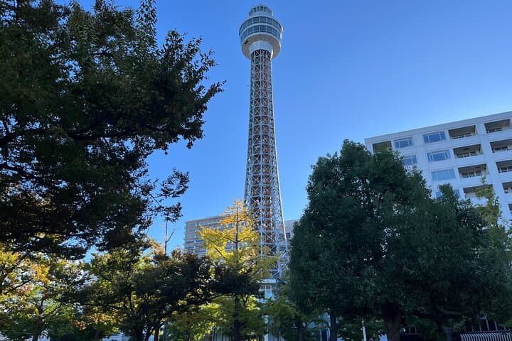 Yokohama Highlights Half-Day Walking Private Tour : — photo 13