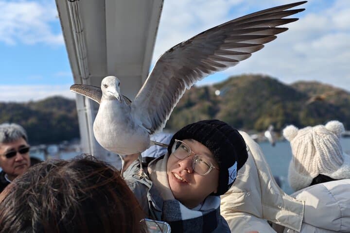 Amanohashidate & Ine Boathouse Full-Day Tour from Kyoto or Osaka — photo 9