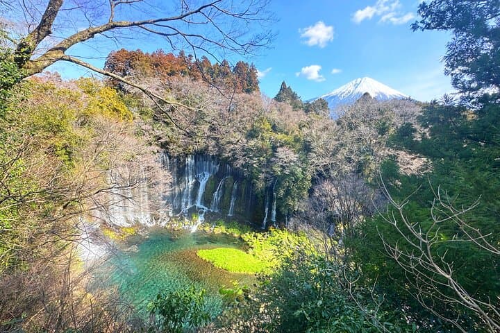 Private Full-Day Mt. Fuji Nature E-Bike Tour with Local Guide — photo 12