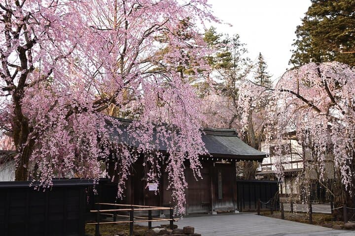 Akita: Kakunodate Samurai District & Residence Tour — photo 6