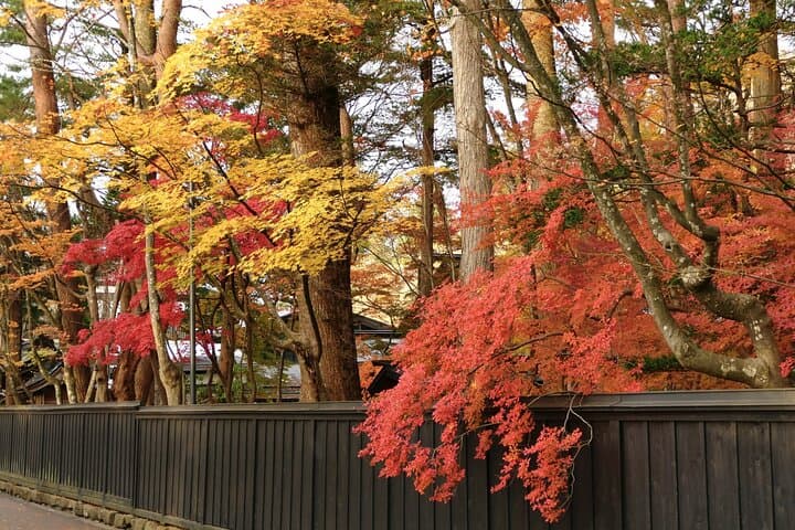 Akita: Kakunodate Samurai District & Residence Tour — photo 8