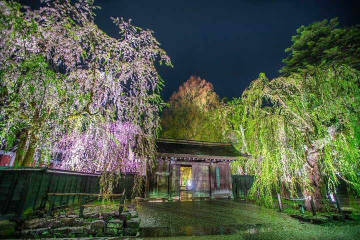 Akita: Kakunodate Samurai District & Residence Tour — photo 14