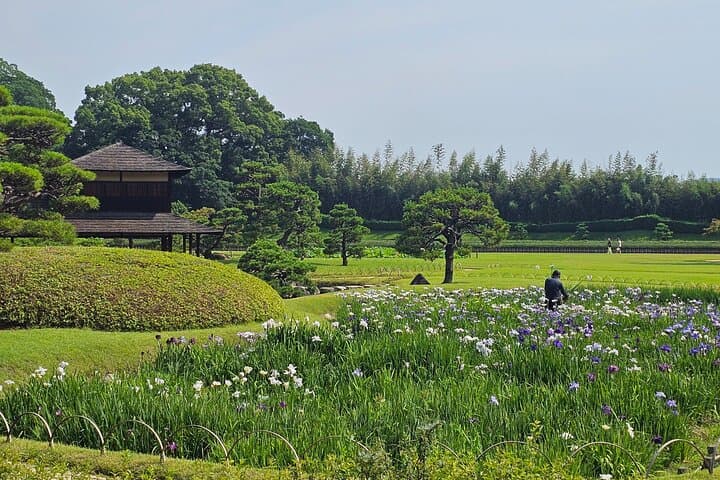 Okayama: Castle & Korakuen Garden Heritage Walk — photo 4