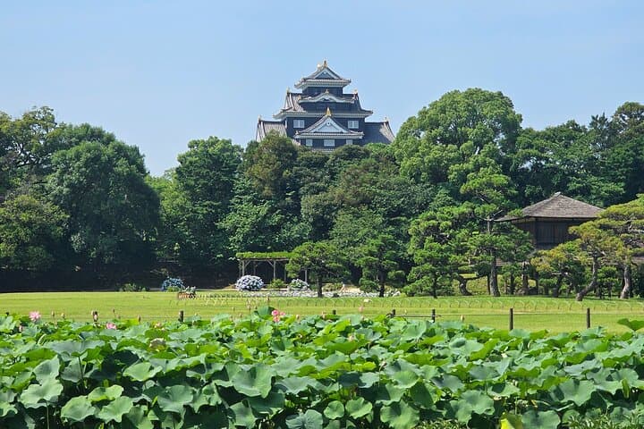 Okayama: Castle & Korakuen Garden Heritage Walk — photo 3