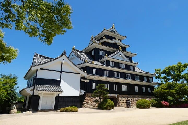 Okayama: Castle & Korakuen Garden Heritage Walk — photo 9