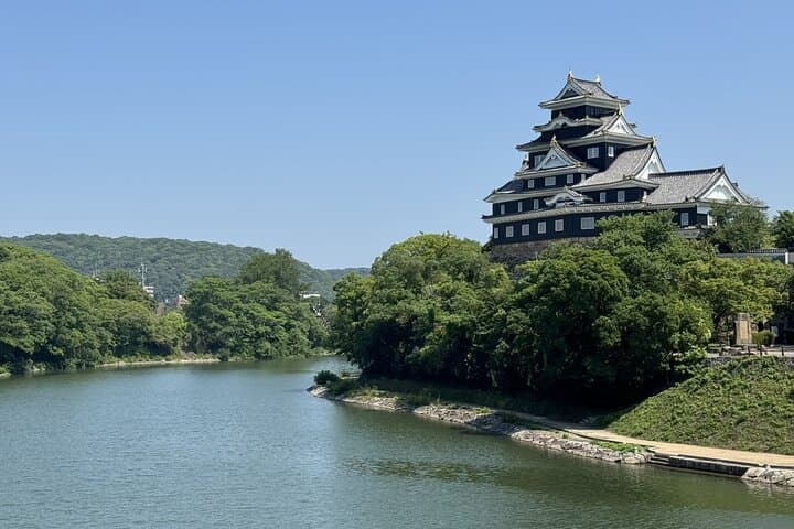 Okayama: Castle & Korakuen Garden Heritage Walk — photo 5