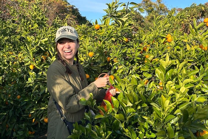 Miyakubochu Walking Foodie Adventure — photo 5